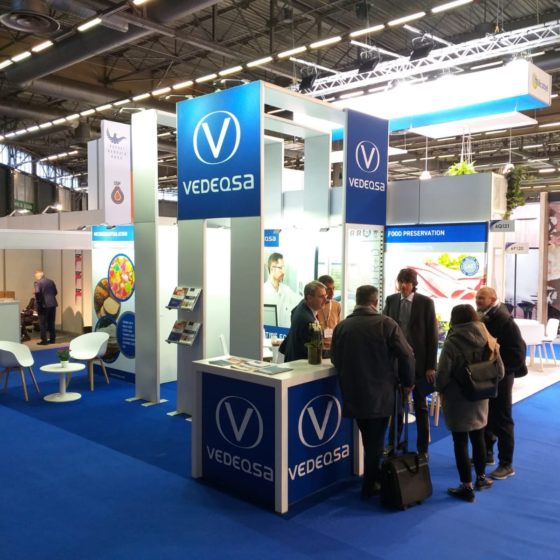 Stand Vedeqsa